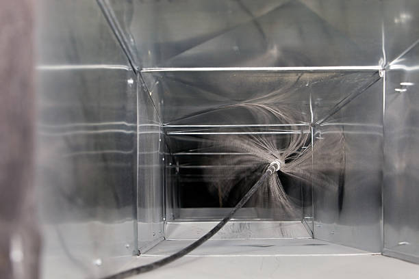 Best Professional Duct Cleaning Services  in Homestead Meadows South, TX
