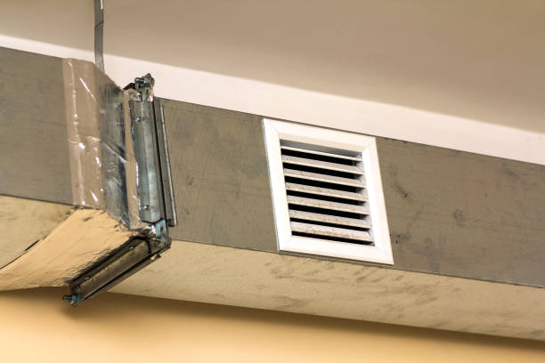 Best Air Quality Test  in Homestead Meadows South, TX